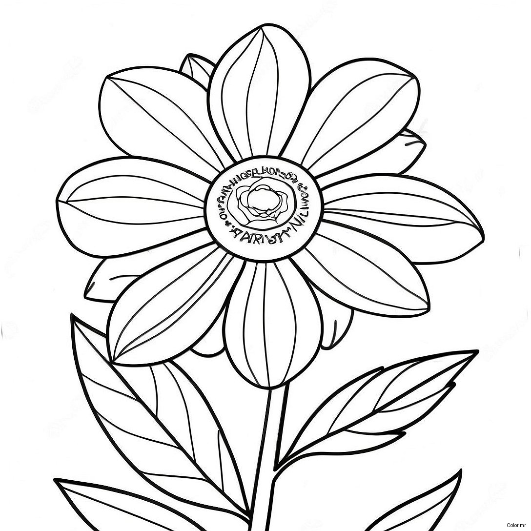 Beautiful Nebraska State Flower In Bloom Coloring Page 43393 36111