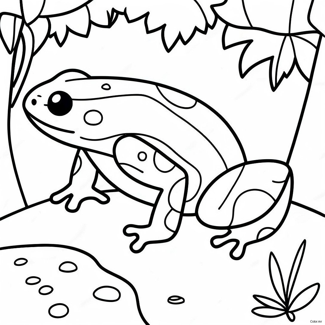 Colorful Poison Dart Frog In Jungle Coloring Page 50545 42123