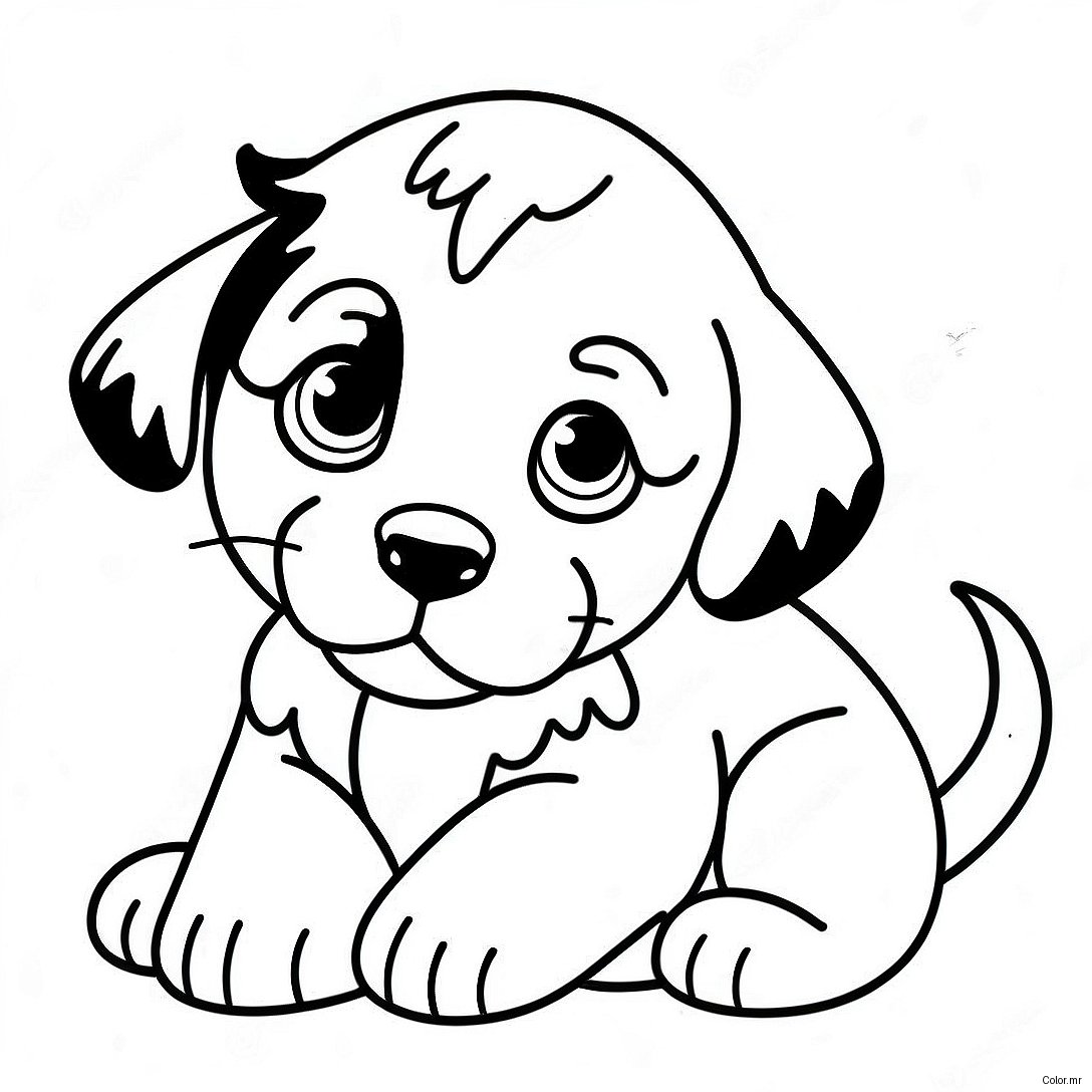 Cute Bernese Mountain Dog Puppy Coloring Page 35564 29585