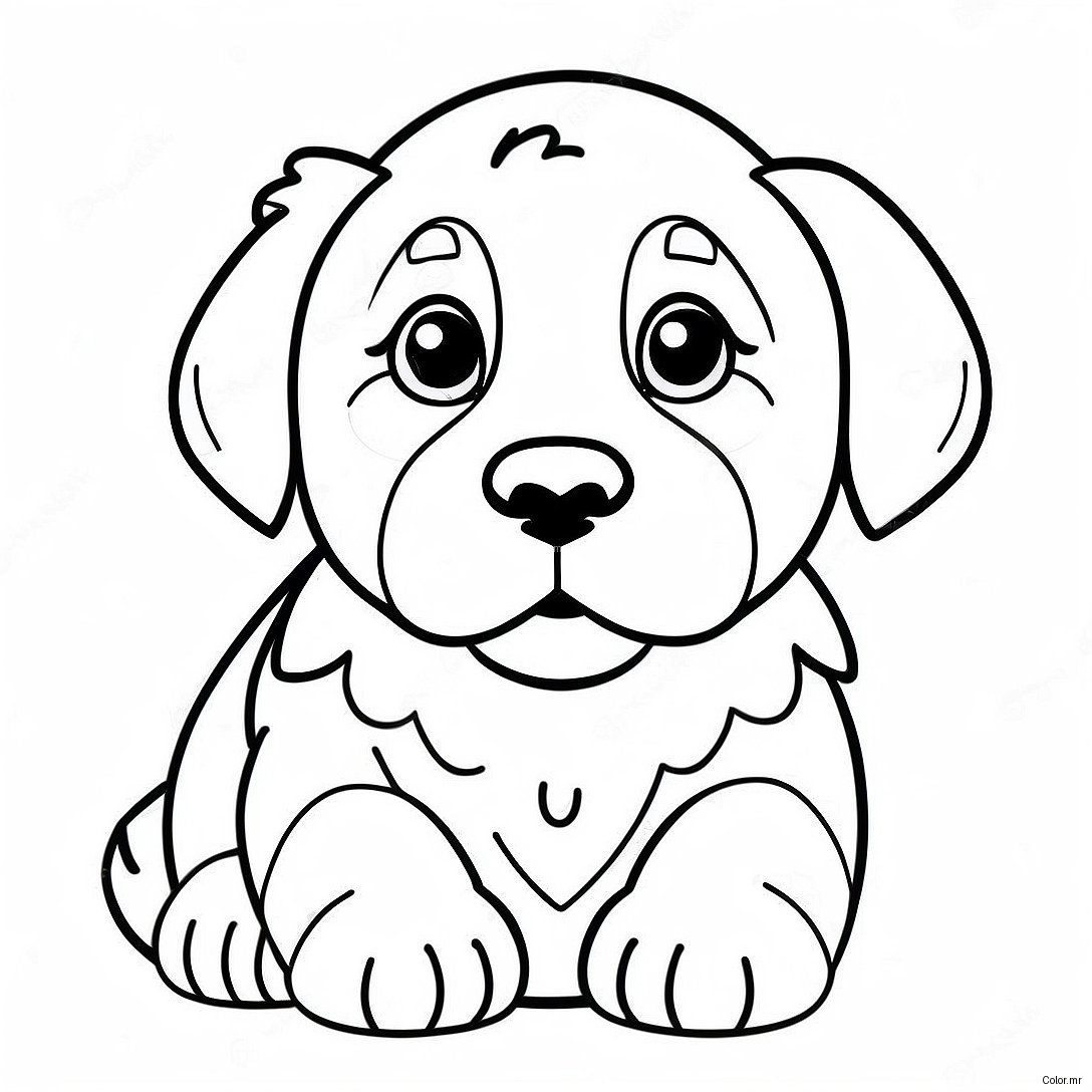 Cute Bernese Mountain Dog Puppy Coloring Page 35564 29587