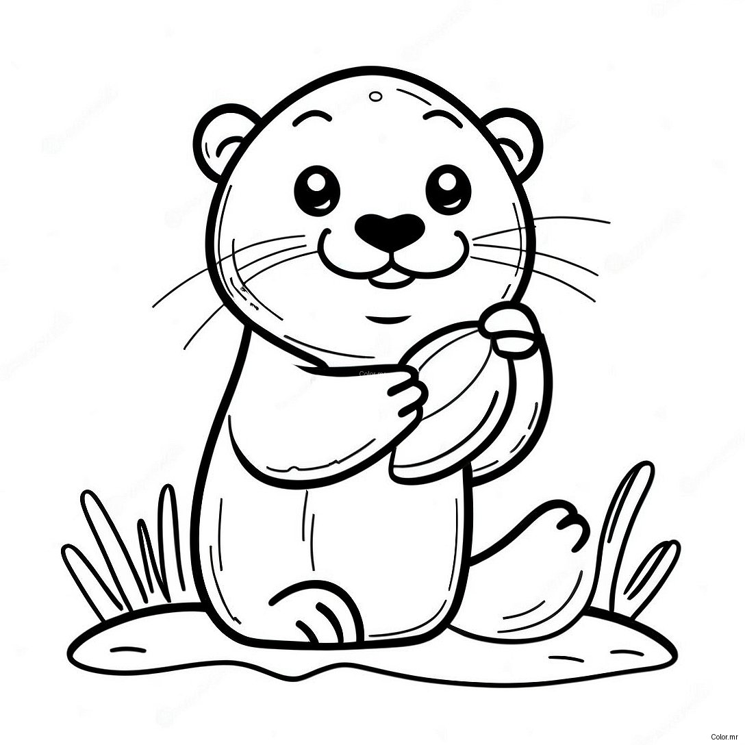 Cute Sea Otter Holding A Shell Coloring Page 19119 15987
