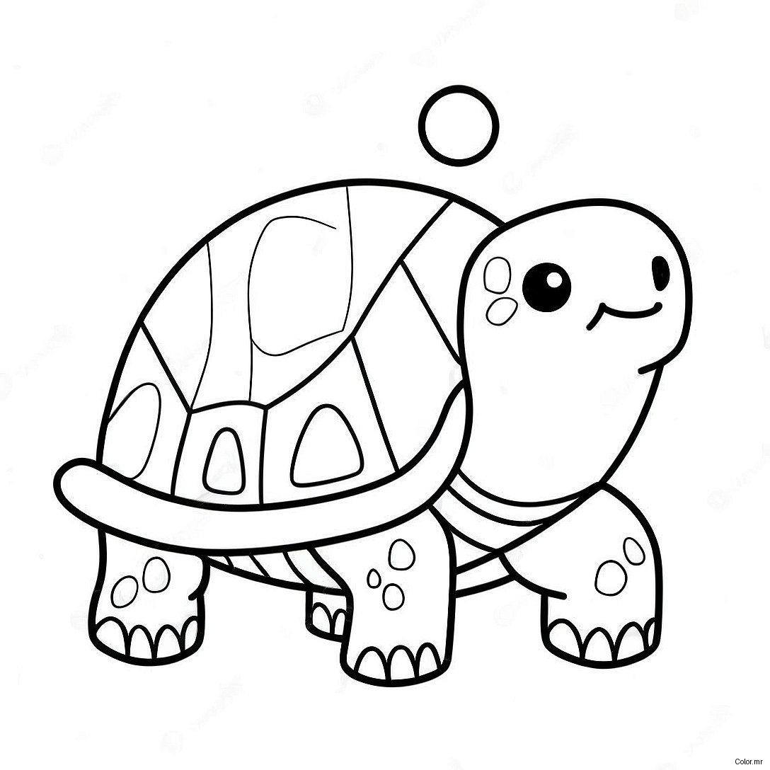 Festive Turtle With Santa Hat Coloring Page 60887 50499