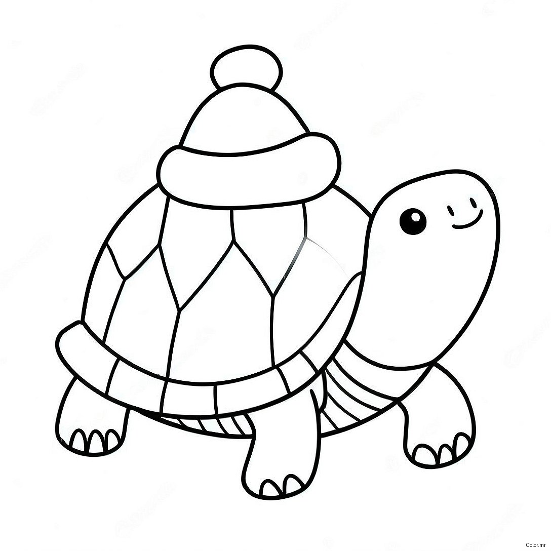 Festive Turtle With Santa Hat Coloring Page 60887 50500