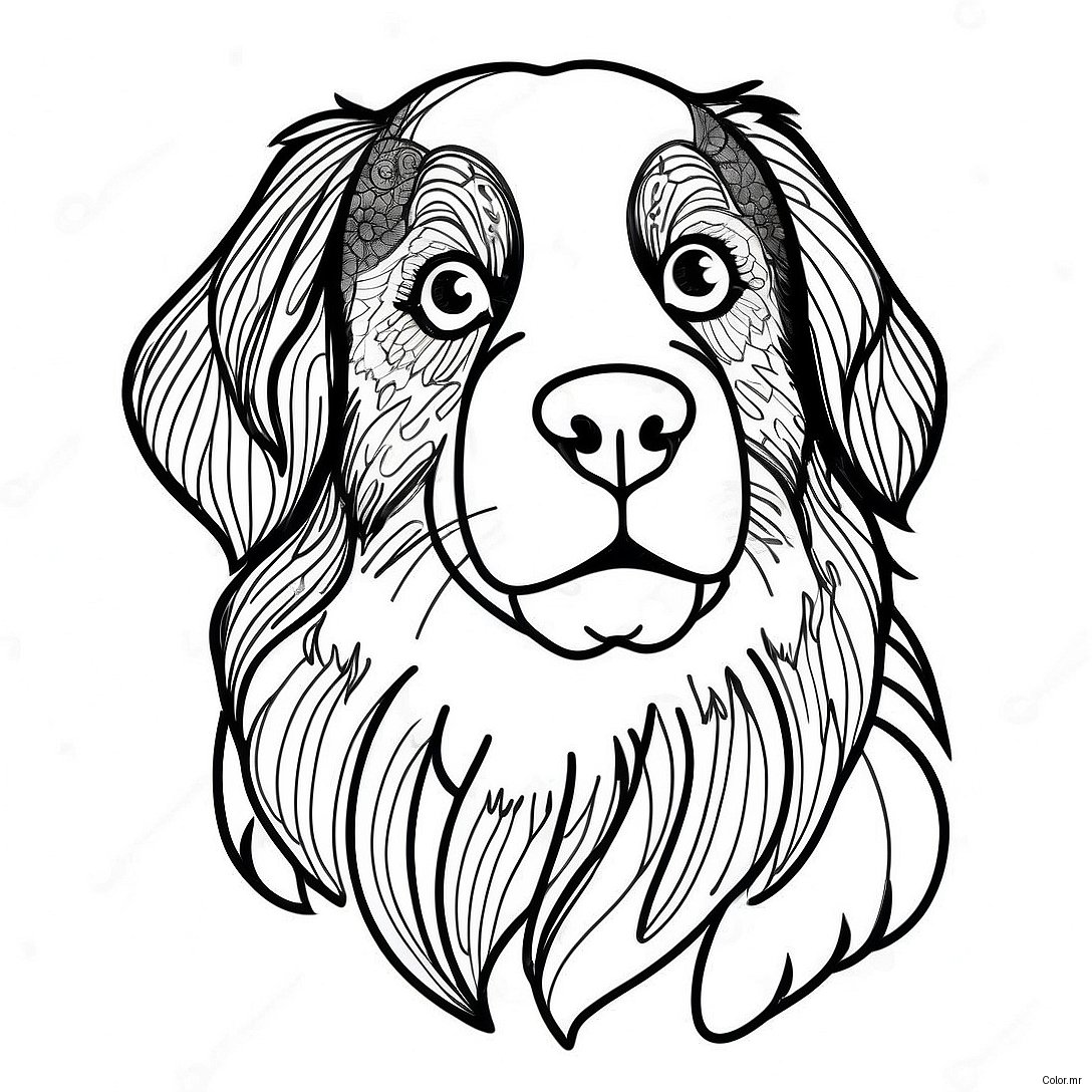Page A Colorier De Chien De Montagne Bernois 35563 29581