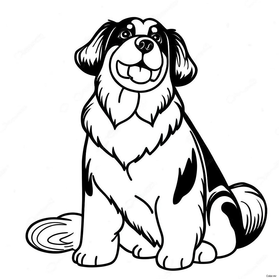 Page A Colorier De Chien De Montagne Bernois 35563 29583