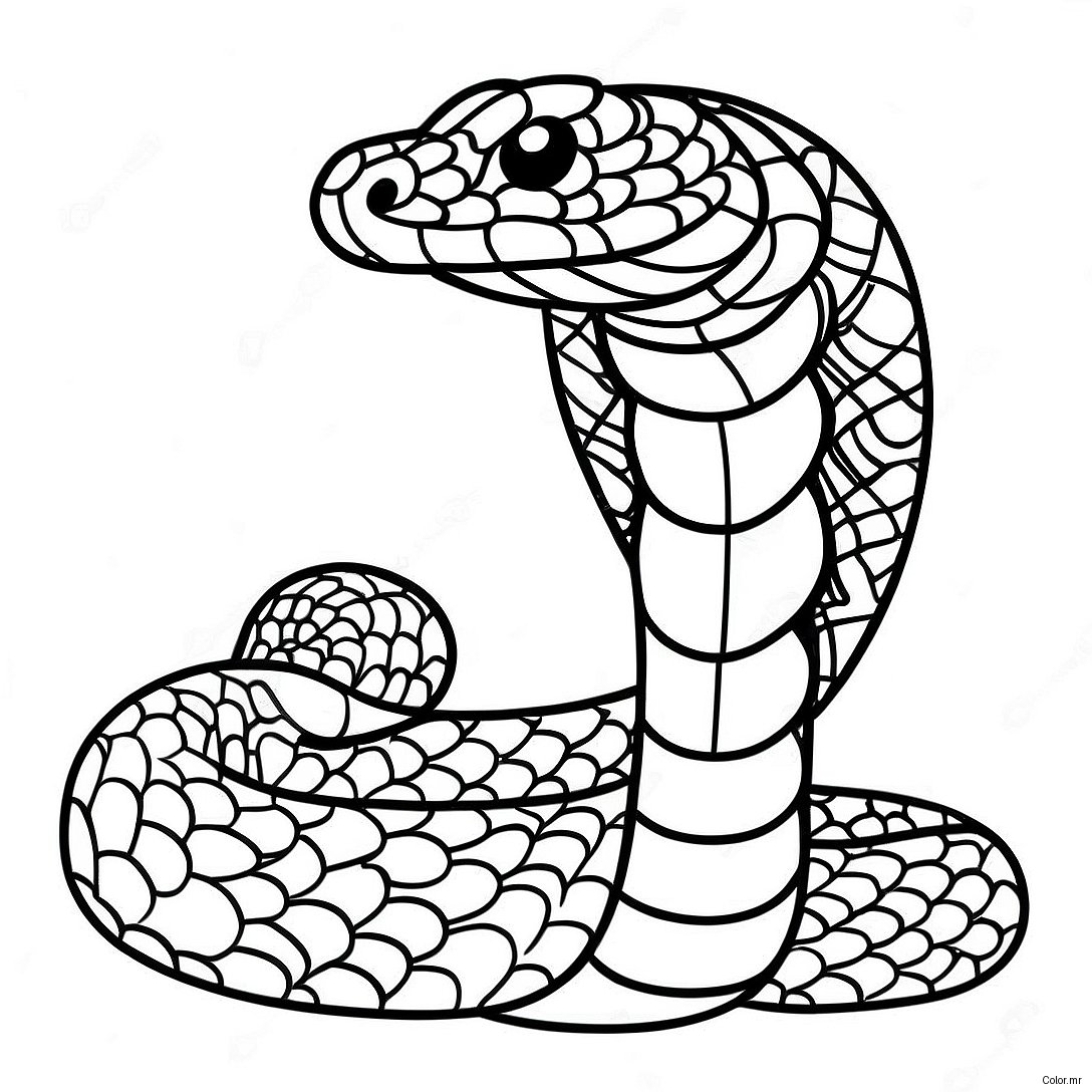 Page A Colorier De Serpent A Sonnette Realiste 26813 24510
