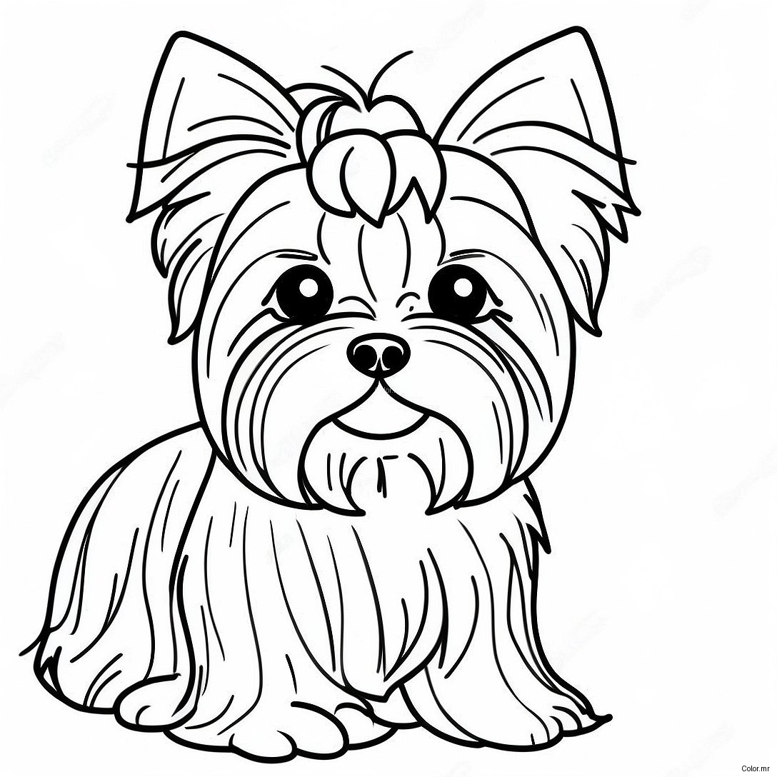 Page A Colorier De Yorkie Realiste Et Duveteux 21483 19797