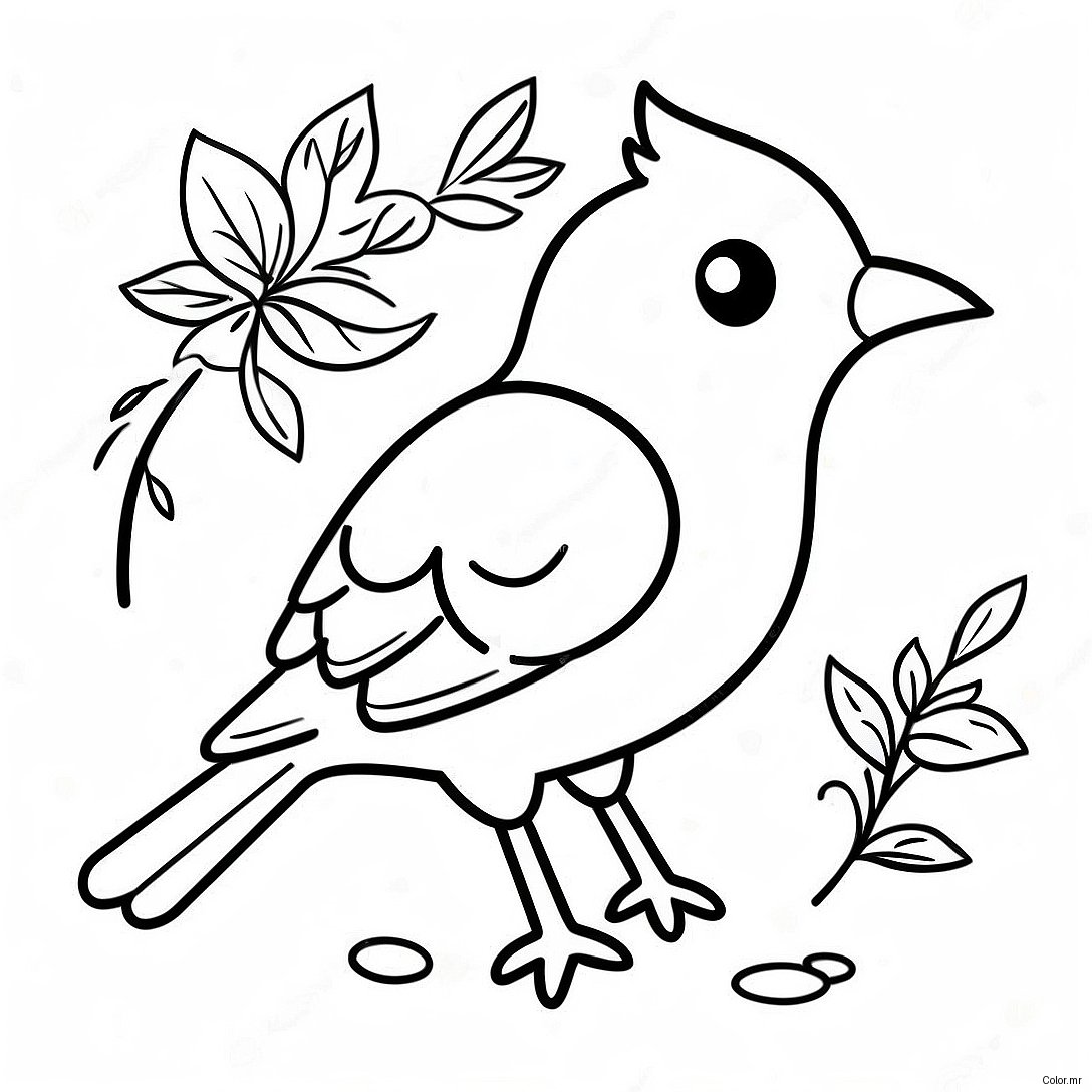Page A Colorier Doiseau Realiste 5583 4458