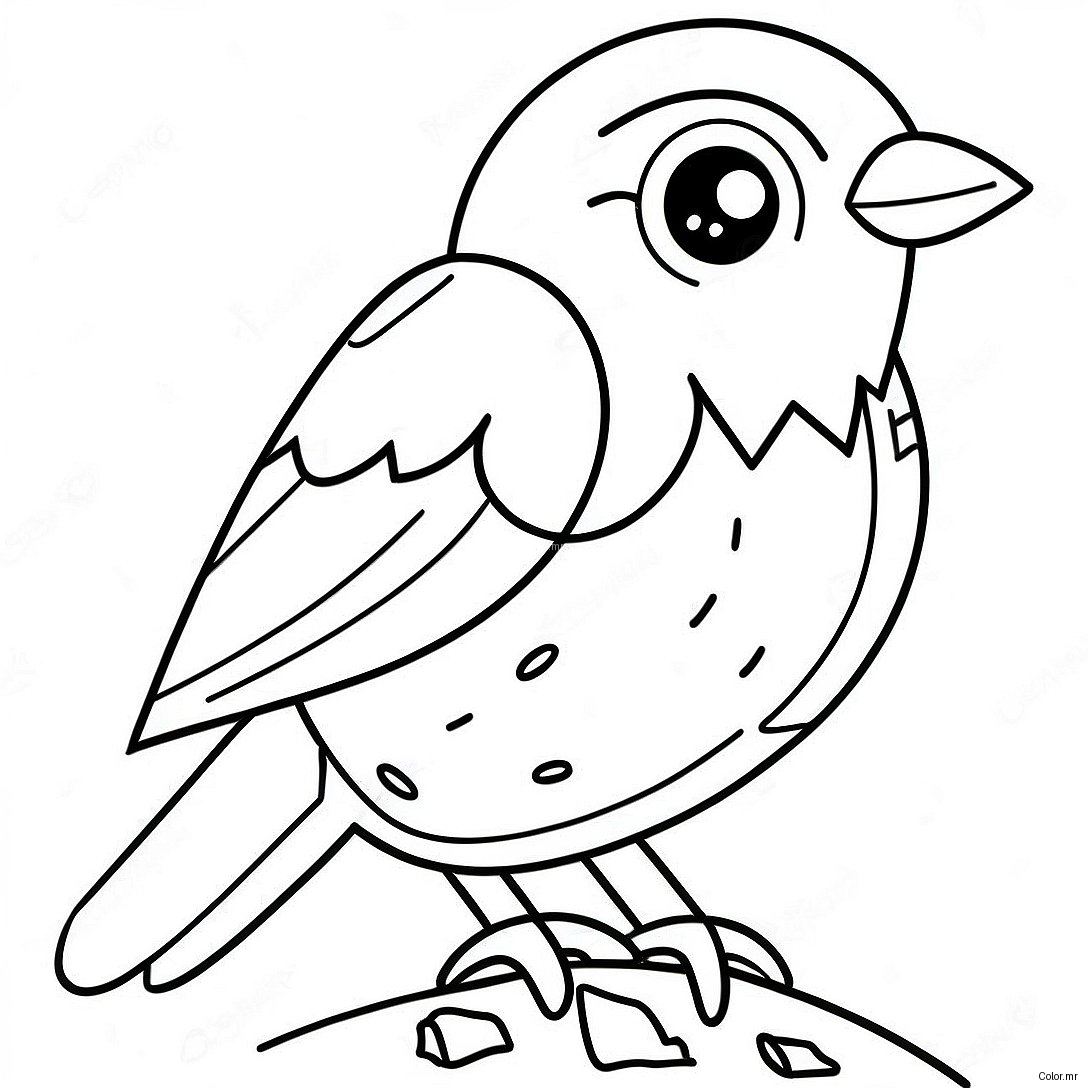 Page A Colorier Doiseau Realiste 5583 4460