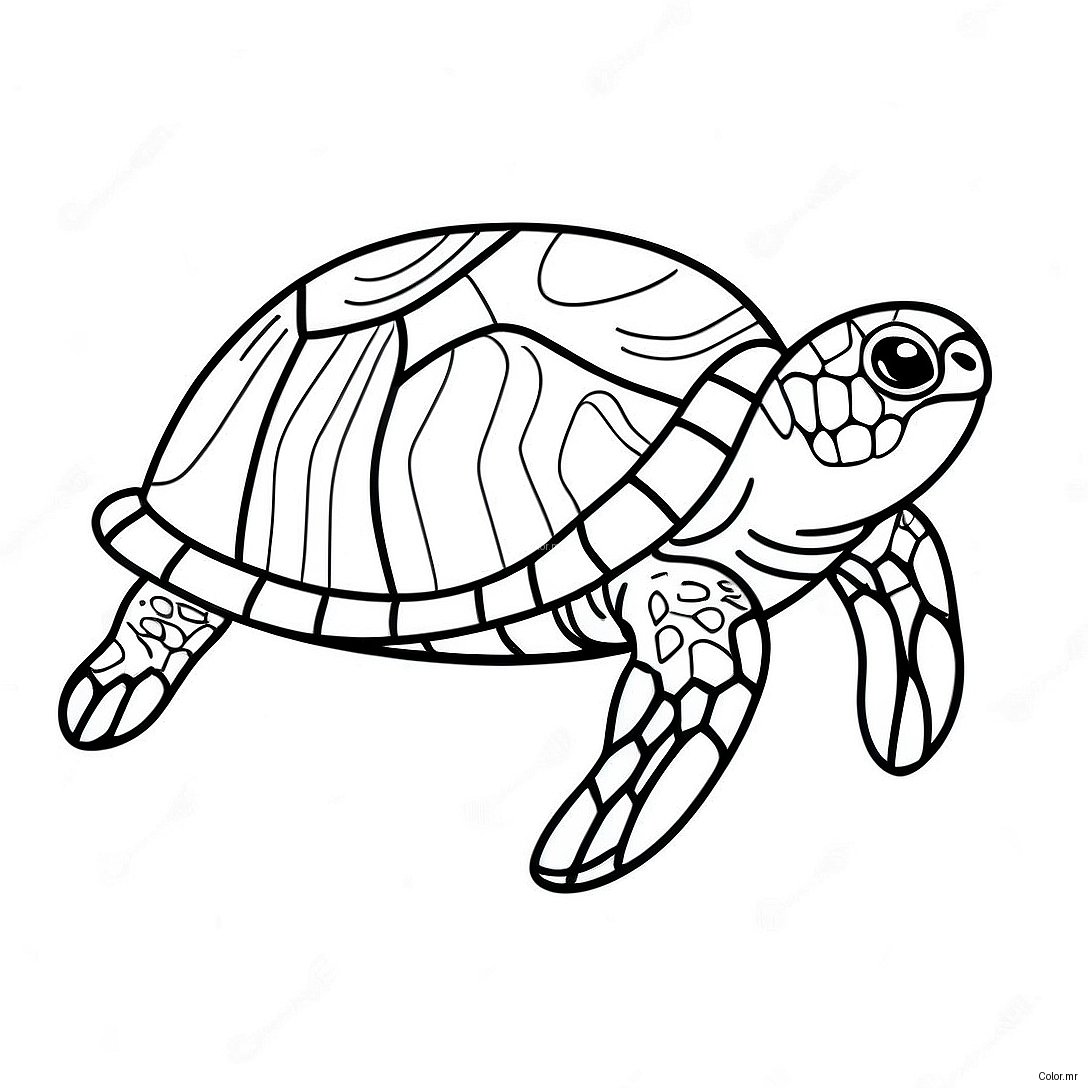 Page A Colorier Dune Tortue De Mer Realiste Nageant 62858 52043