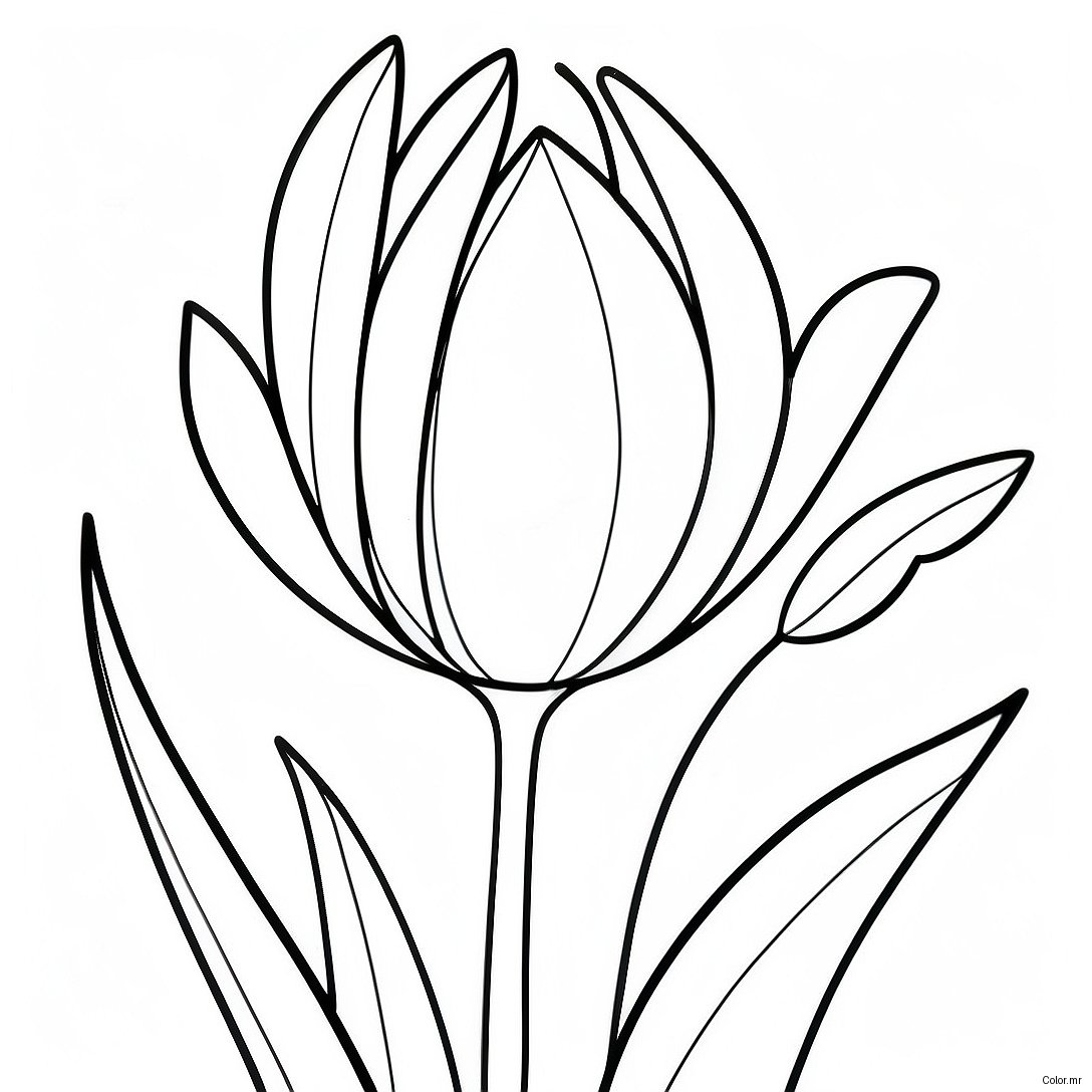 Page A Colorier Fleur De Tulipe Realiste 45943 38270