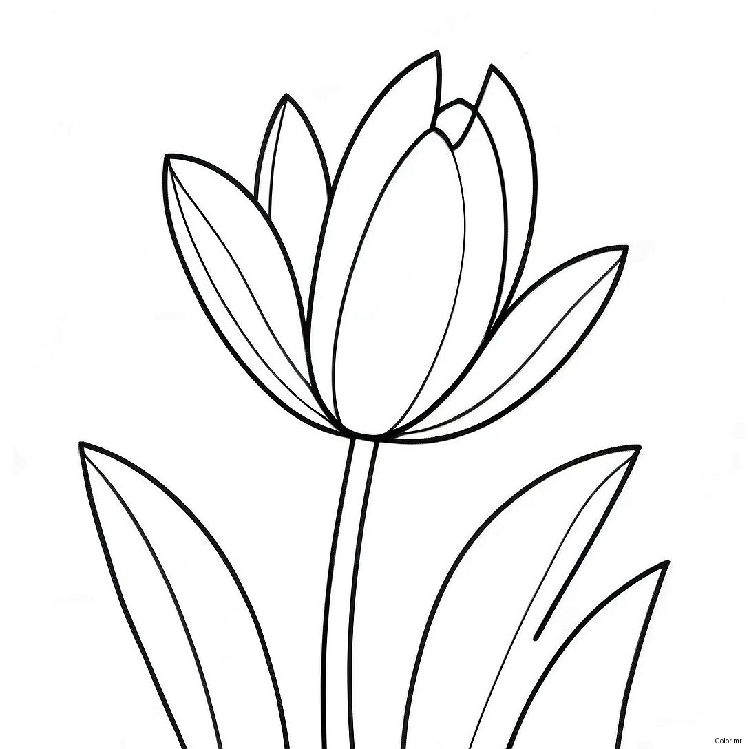 Page A Colorier Fleur De Tulipe Realiste 45943 38271