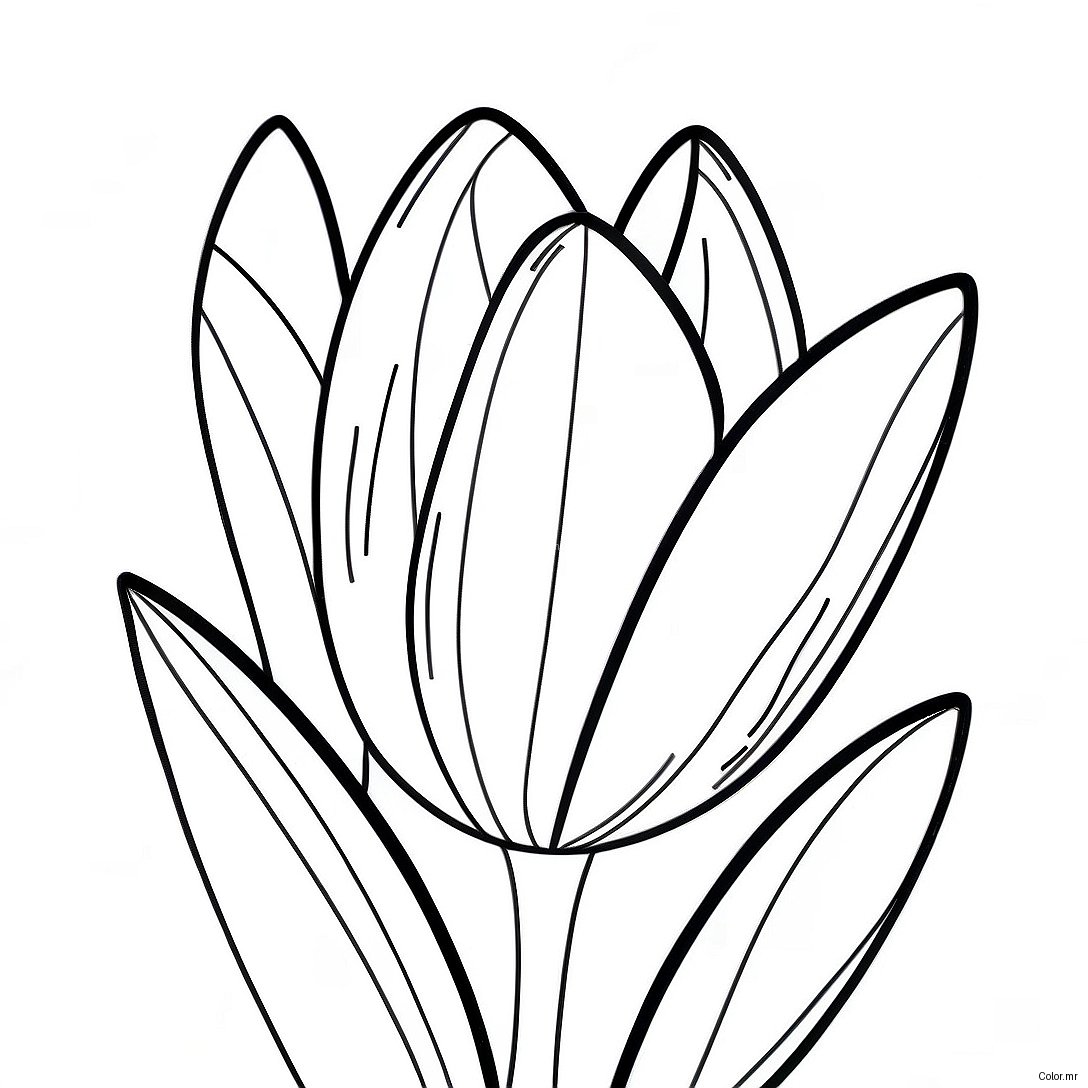 Page A Colorier Fleur De Tulipe Realiste 45943 38272