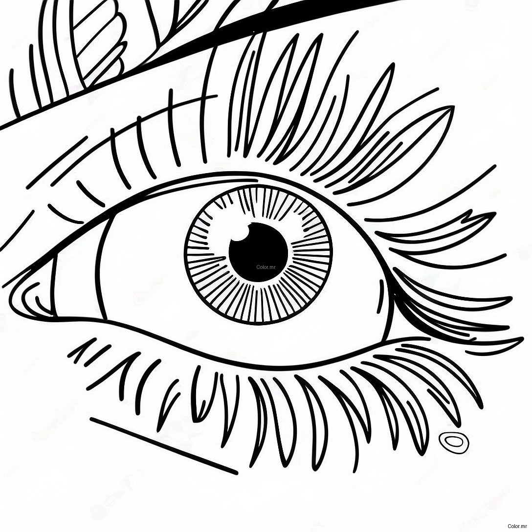 Page A Colorier Gros Plan Realiste Doeil 17435 14643