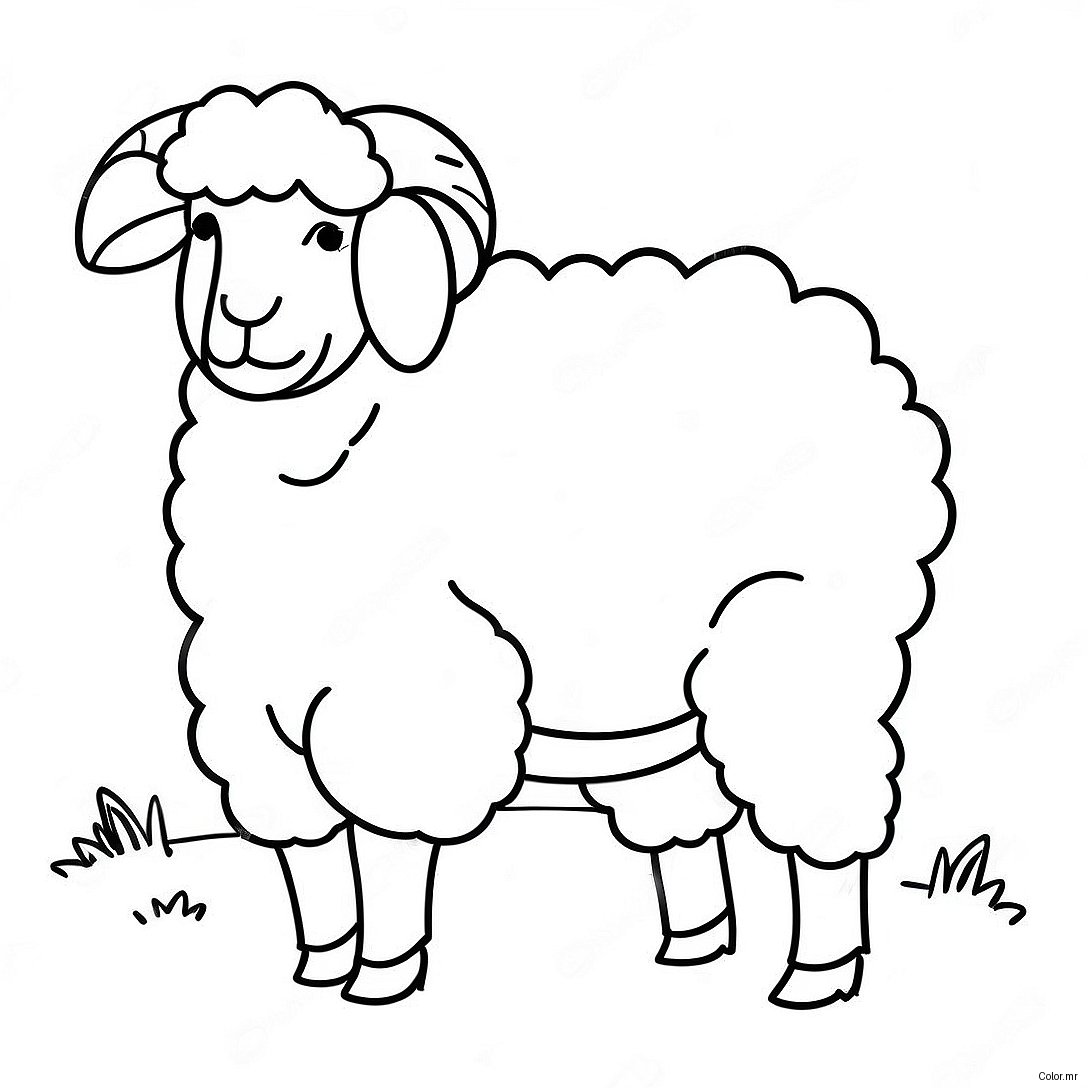 Page A Colorier Mouton Realiste 59506 49405