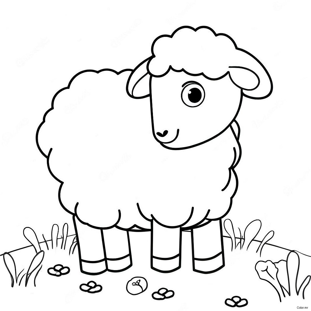 Page A Colorier Mouton Realiste 59506 49406