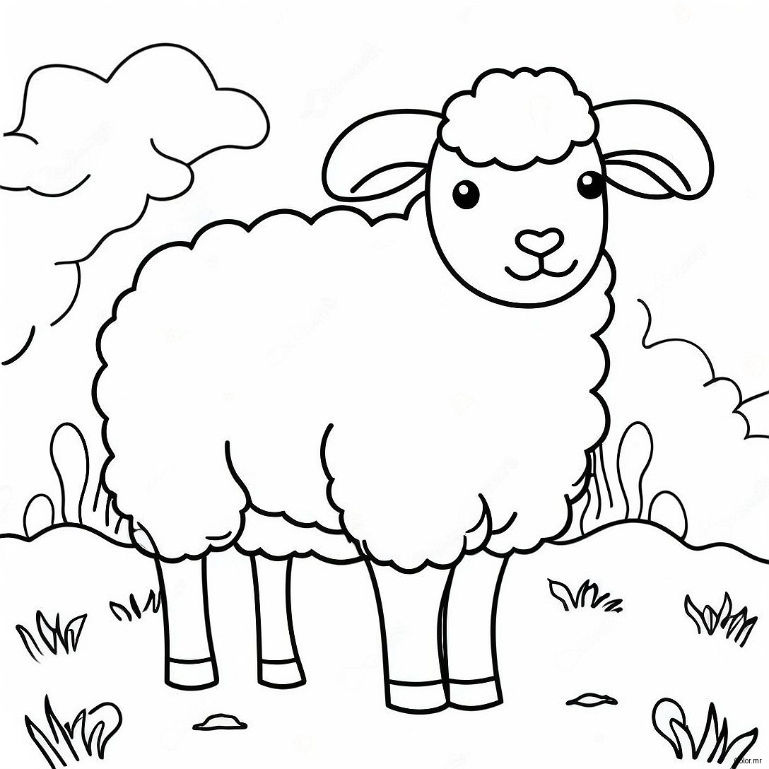 Page A Colorier Mouton Realiste 59506 49408