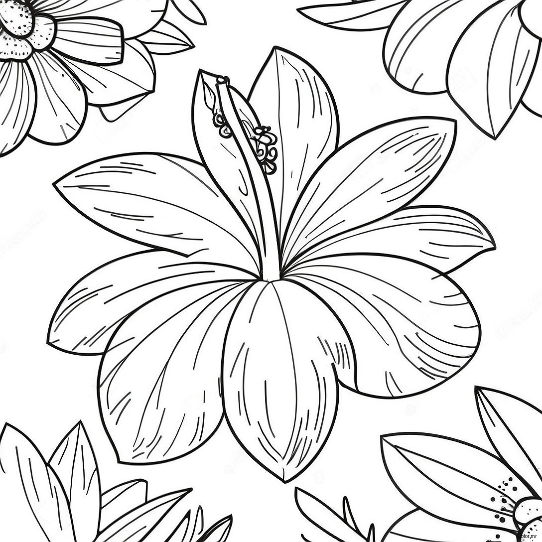 Page A Colorier Realiste De Fleur Tropicale 46283 38548