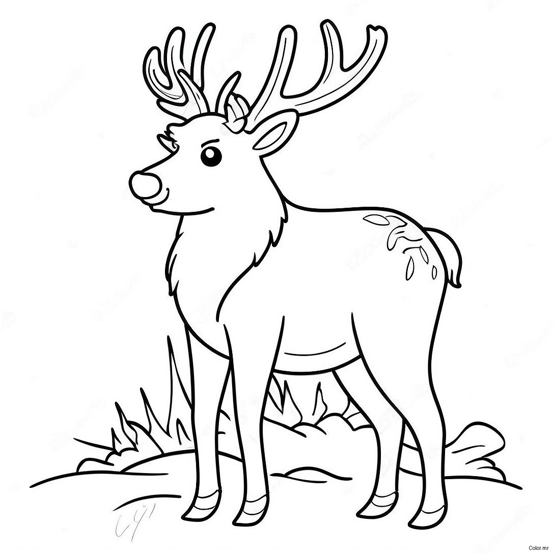 Page A Colorier Renne Realiste 241 194