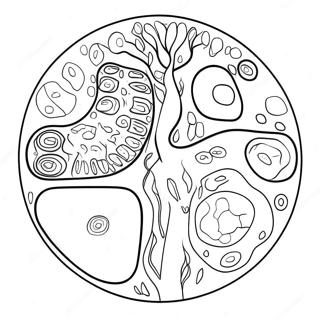 Page A Colorier Diagramme De Cellule Vegetale 10817-8866