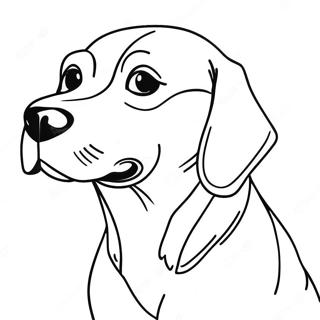 Beagle Pages À Colorier