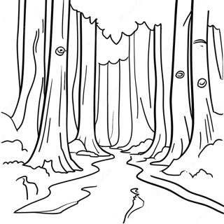 Page A Colorier Foret De Sequoias De Californie 15190-12564