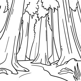 Page A Colorier Foret De Sequoias De Californie 15190-12729