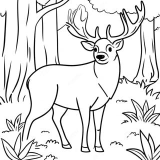 Cerf Majestueux Dans La Foret A Colorier 15972-13489