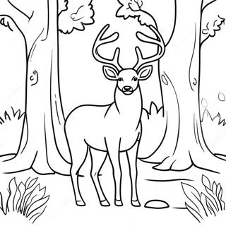 Cerf Majestueux Dans La Foret A Colorier 15972-13491