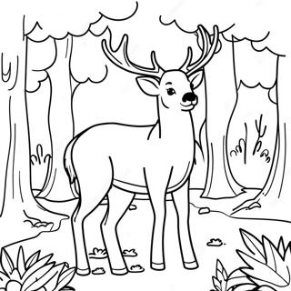 Cerf Majestueux Dans La Foret A Colorier 15972-13492