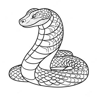 Page A Colorier Anaconda 16331-13774