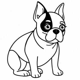 Page A Colorier De Boston Terrier 16422-13839