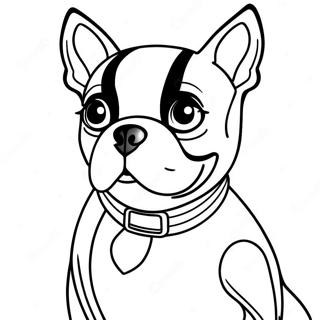 Page A Colorier De Boston Terrier 16422-13840