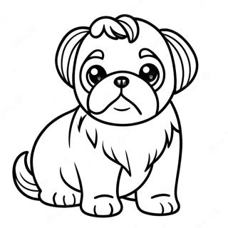 Page A Colorier Chiot Shih Tzu 19318-16142