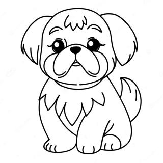 Page A Colorier Chiot Shih Tzu 19318-16144