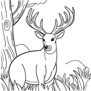 Buck Pages À Colorier