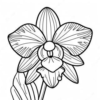 Orchidée Pages À Colorier