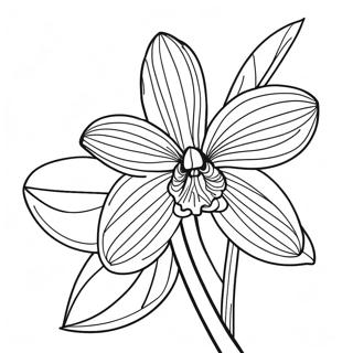 Page A Colorier De Belle Fleur Dorchidee 22434-20694