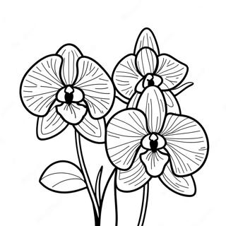 Page A Colorier De Belle Fleur Dorchidee 22434-20695