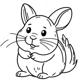 Page A Colorier De Chinchilla 23803-21951