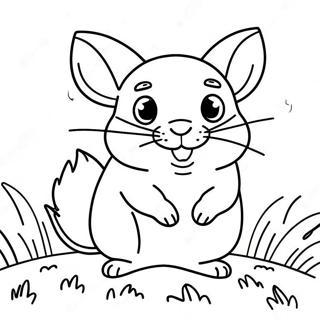 Page A Colorier De Chinchilla Mignon Jouant Dans Lherbe 23804-21953