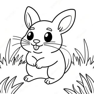 Page A Colorier De Chinchilla Mignon Jouant Dans Lherbe 23804-21955