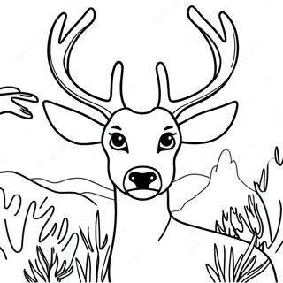 Coloriage De Cerf Buck Realiste 26722-24436