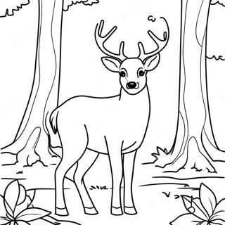 Coloriage De Cerf Majestueux Dans La Foret 26723-24438