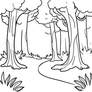 Page A Colorier De Paysage Forestier 29497-26604