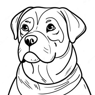 Page A Colorier Rottweiler 30948-27750