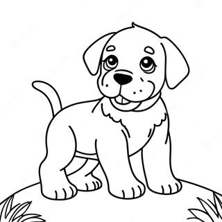 Page A Colorier Chiot Rottweiler Joueur 30949-27755