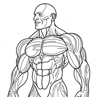 Page A Colorier Des Muscles Humains Detailles 31369-28090