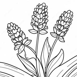 Page A Colorier De Fleur De Lavande 32691-17031