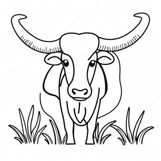 Page A Colorier Longhorn 32891-17191